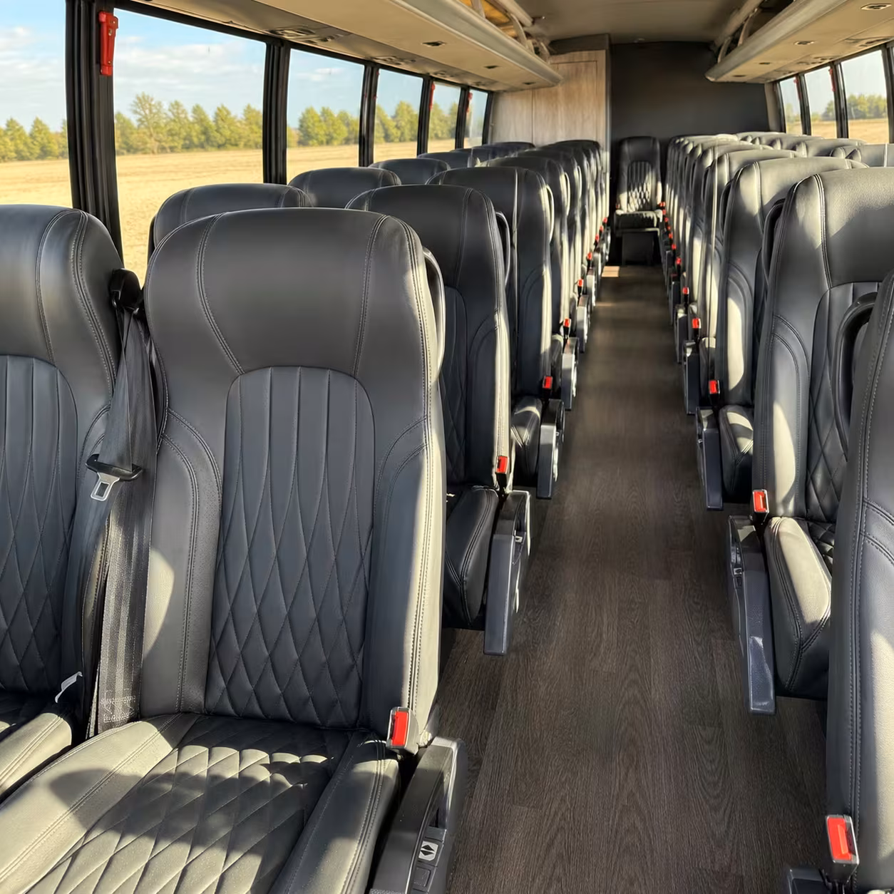 menifee minibus rentals for stem and nature field trips